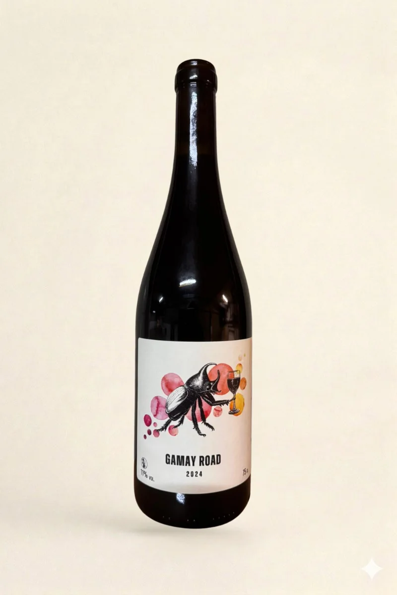 Gamay road  - Oedipoda